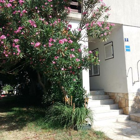 Apartman Nona Povljana Exterior photo