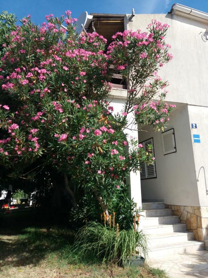 Apartman Nona Povljana Exterior photo
